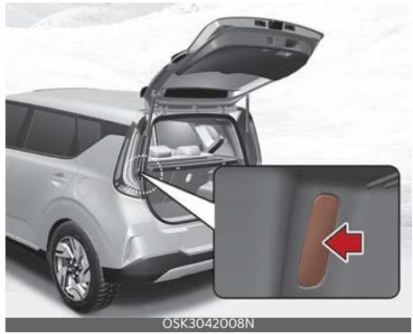 KIA Soul SK3-3 Phase 2 (2023) - Plafonnier de hayon - 1