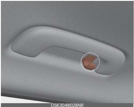 KIA Soul SK3-3 Phase 2 (2023) - Porte-manteau (selon l'équipe-ment) - 1