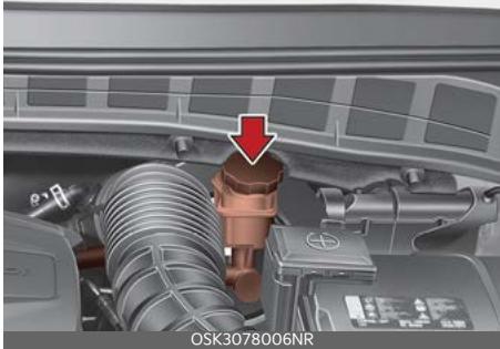 KIA Soul SK3-3 Phase 2 (2023) - Vérification du niveau de liquide de freins - 1