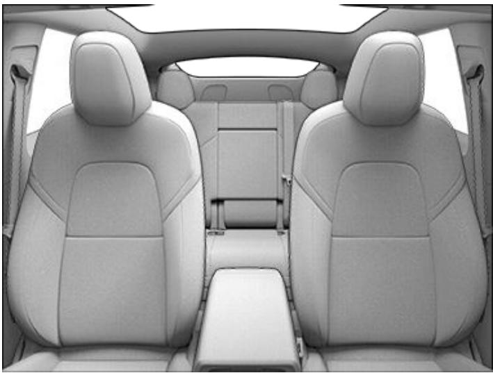 TESLA Model Y (2020-2024) - Caméra de l'habitacle - 2
