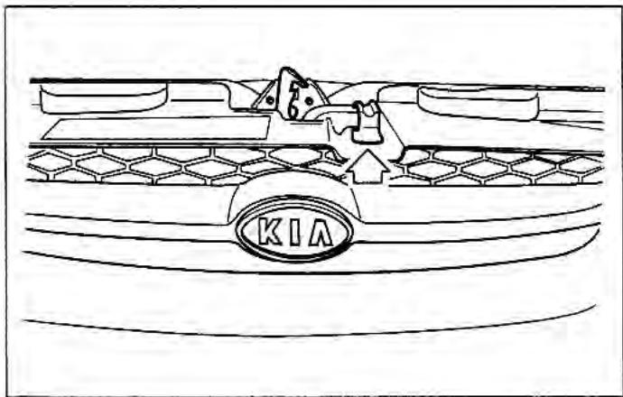 KIA Rio (2003) - Capot - 2