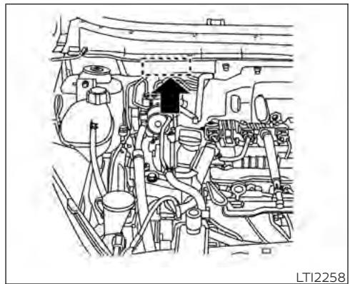 NISSAN Kicks (2020) - IDENTIFICATION DU VEHICULE - 2