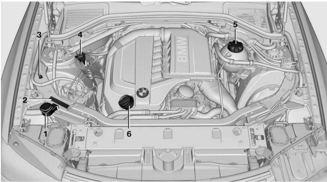 BMW X4 (2014-2018) - Équipement du véhicule - 1