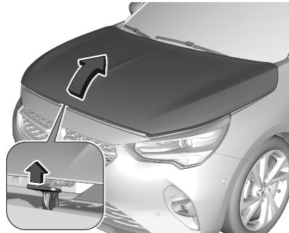 OPEL Corsa F - 6 (2019-2023) - Ouverture - 2