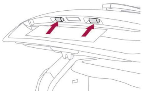 DS Automobiles DS4 (2015-2018) - Feux de plaque minéralogique (W5W) - 1