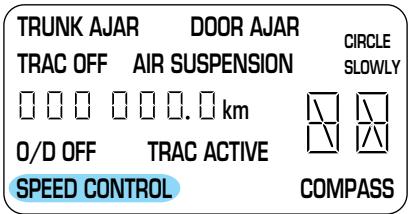 Lincoln Town Car (1998-2003) - Témoin du programmeur de vitesse - 1