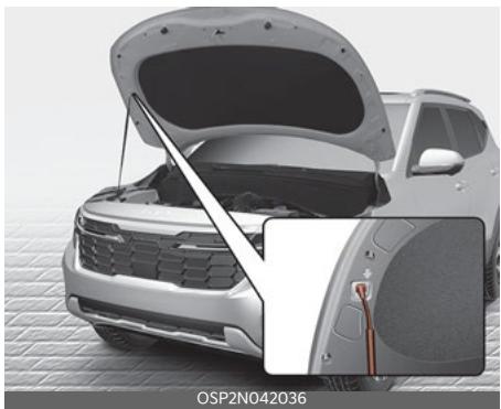 KIA Seltos SP2 (2024) - REMARQUE - 2