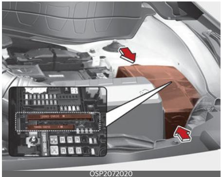 KIA Seltos SP2 (2024) - Fusible multiple - 1