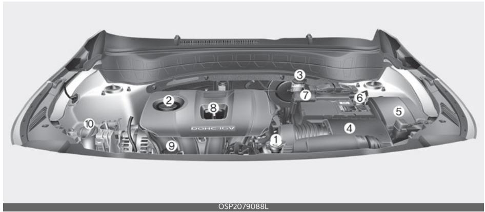 KIA Seltos SP2 (2024) - Compartment moteur - 2