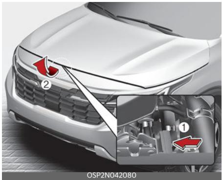 KIA Seltos SP2 (2024) - REMARQUE - 1