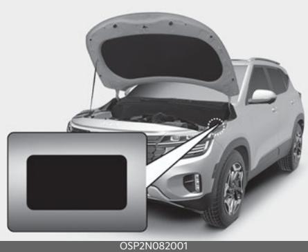 KIA Seltos SP2 (2024) - OKA4040574N - 1