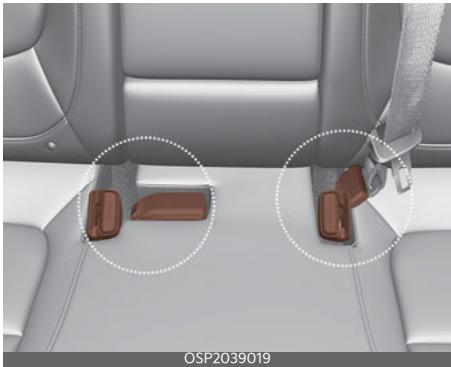 KIA Seltos SP2 (2024) - Objects - 1