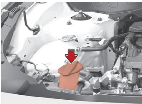 KIA Seltos SP2 (2024) - Vérification du niveau de liquide lave-glace - 1