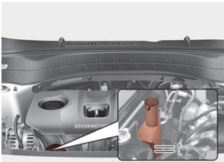 KIA Seltos SP2 (2024) - Ventilateur de refroidissement - 2