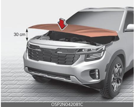 KIA Seltos SP2 (2024) - Fermetre du capot - 1