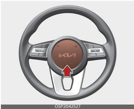 KIA Seltos SP2 (2024) - Klaxon - 1