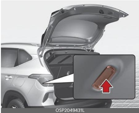 KIA Seltos SP2 (2024) - Lampe de coffre à bagages - 1