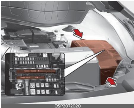 KIA Seltos SP2 (2024) - Fusible principal - 1