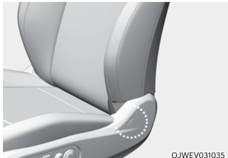 Genesis GV60 (2021-2025) - AVERTISSEMENT - 1