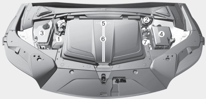 Genesis GV60 (2021-2025) - COMPARTIMENT MOTEUR - 1