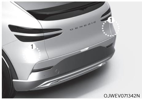 Genesis GV60 (2021-2025) - MISE EN GARDE - 1