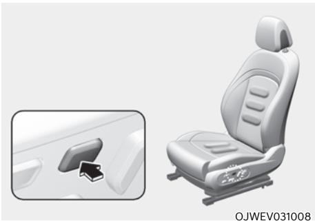 Genesis GV60 (2021-2025) - Extension confortable - 1