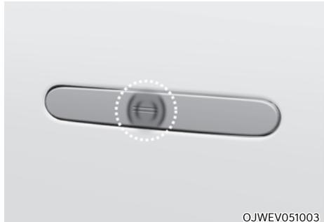 Genesis GV60 (2021-2025) - i Informations - 1