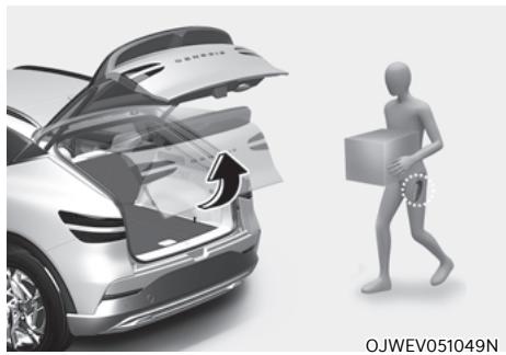 Genesis GV60 (2021-2025) - AVERTISSEMENT - 1