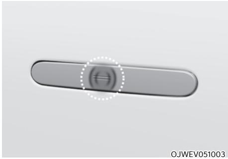 Genesis GV60 (2021-2025) - AVERTISSEMENT - 1