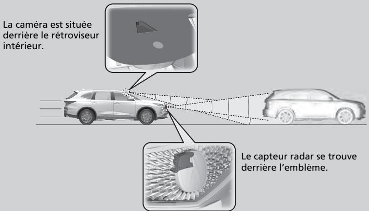 Acura MDX (2023) - Régulateur de vitesse et d'espacement (ACC) avec suivi à basse vitesse - 1