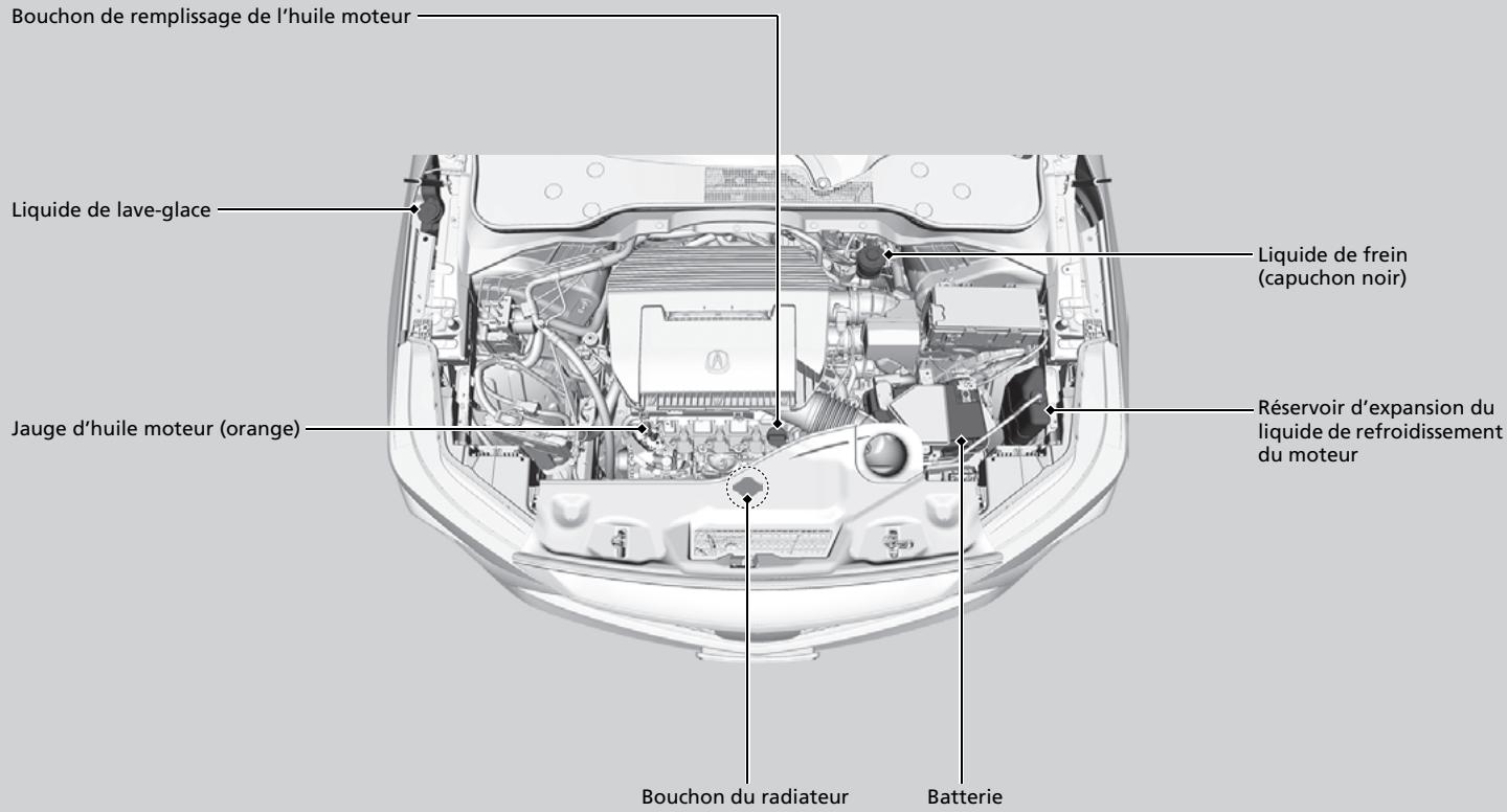 Acura MDX (2023) - Éléments d'entretien sous le capot - 1
