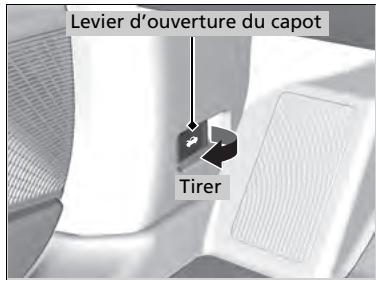 Acura MDX (2023) - Ouverture du capot - 1