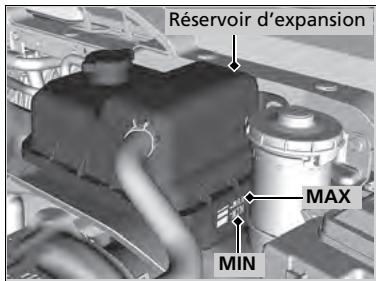 Acura MDX (2023) - Vérification du liquide de refroidissement - 1