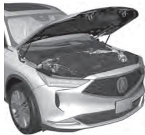 Acura MDX (2023) - Fusible grillé - 2
