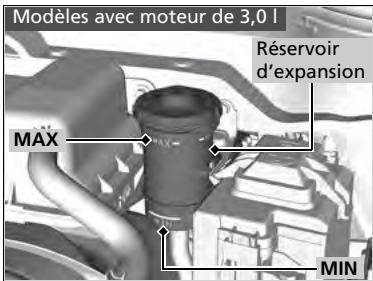 Acura MDX (2023) - Vérification du liquide de frein - 2