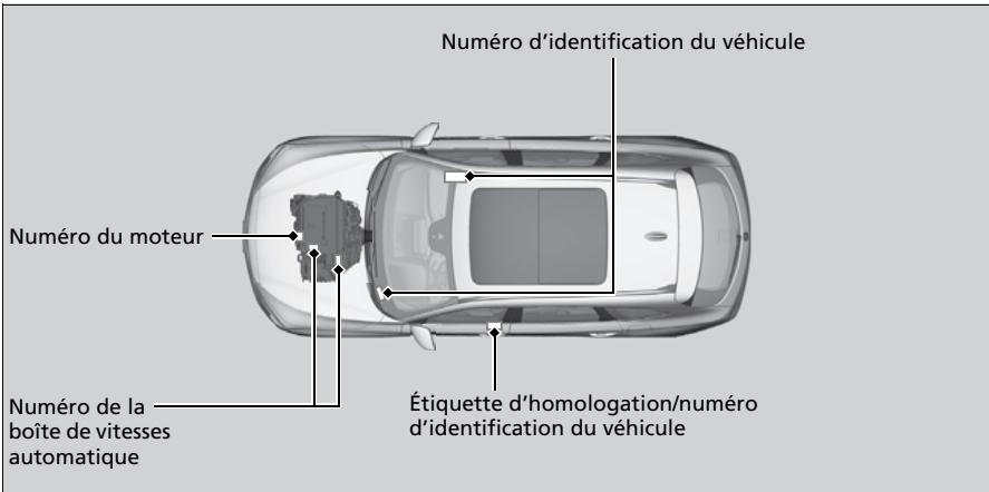 Acura MDX (2023) - Numéro d'identification du véhicule (NIV), numéro du moteur et numéro de la boîte de vitesses - 1