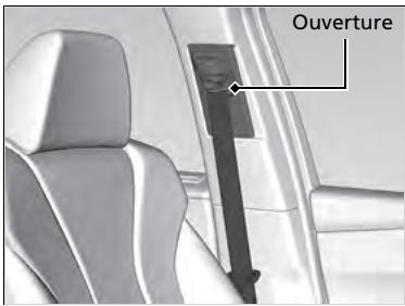 Acura MDX (2023) - Lavage des ceintures de sécurité - 1