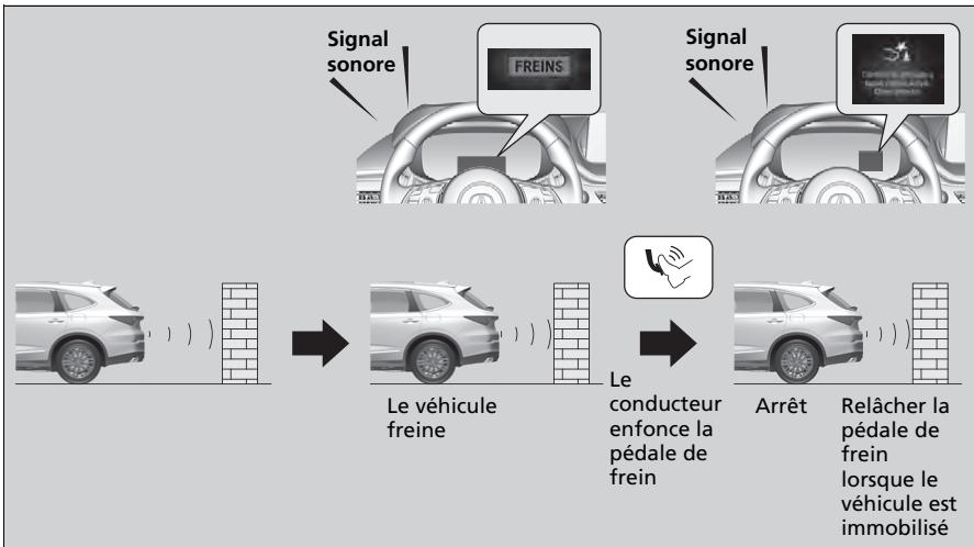 Acura MDX (2023) - ■ Freinage assisté - 1
