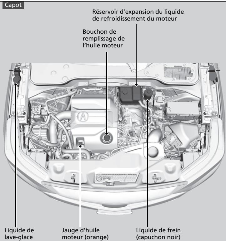 Acura MDX (2023) - Éléments d'entretien sous le capot et le compartiment utilitaire - 1