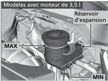 Acura MDX (2023) - Vérification du liquide de frein - 1