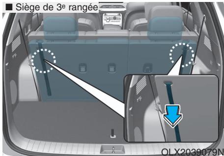 HYUNDAI Palisade (2018-2022) - AVERTISSEMENT - 3
