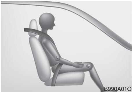 HYUNDAI Palisade (2018-2022) - AVERTISSEMENT - 11