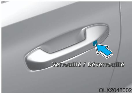 HYUNDAI Palisade (2018-2022) - AVIS - 3