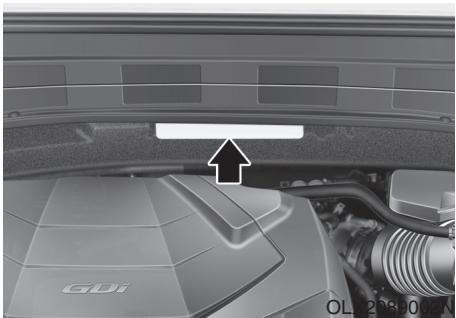 HYUNDAI Palisade (2018-2022) - NUMERO D'IDENTIFICATION DU VEHICULE (NIV) - 1