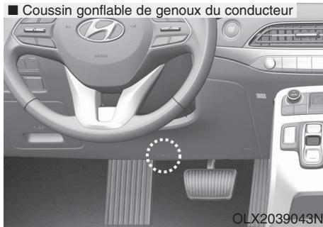 HYUNDAI Palisade (2018-2022) - Emplacement des coussins gonflables? - 2