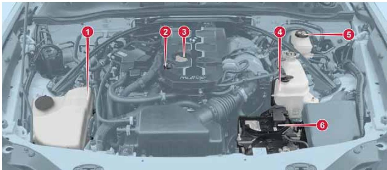 Abarth 124 Spider (2015-2019) - CONTRÔLE DES NIVEAUX - 4