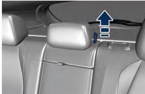 Maserati Grecale (2022) - IMPORTANT! - 1