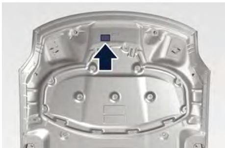 Maserati Grecale (2022) - Étiquette de danger lié au capot ouvert - 1