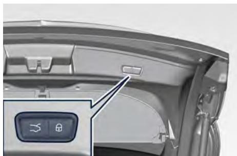 Maserati Grecale (2022) - Armement du système - 2