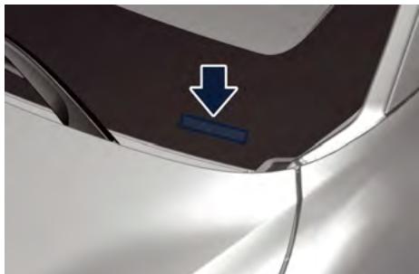 Maserati Grecale (2022) - Vehicle Identification Number (Numero d'identification du vehicule) - 2